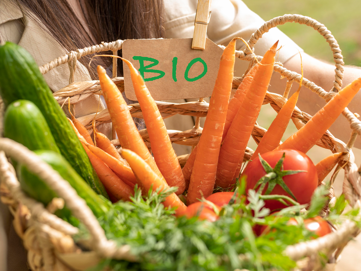 panier de légumes bio