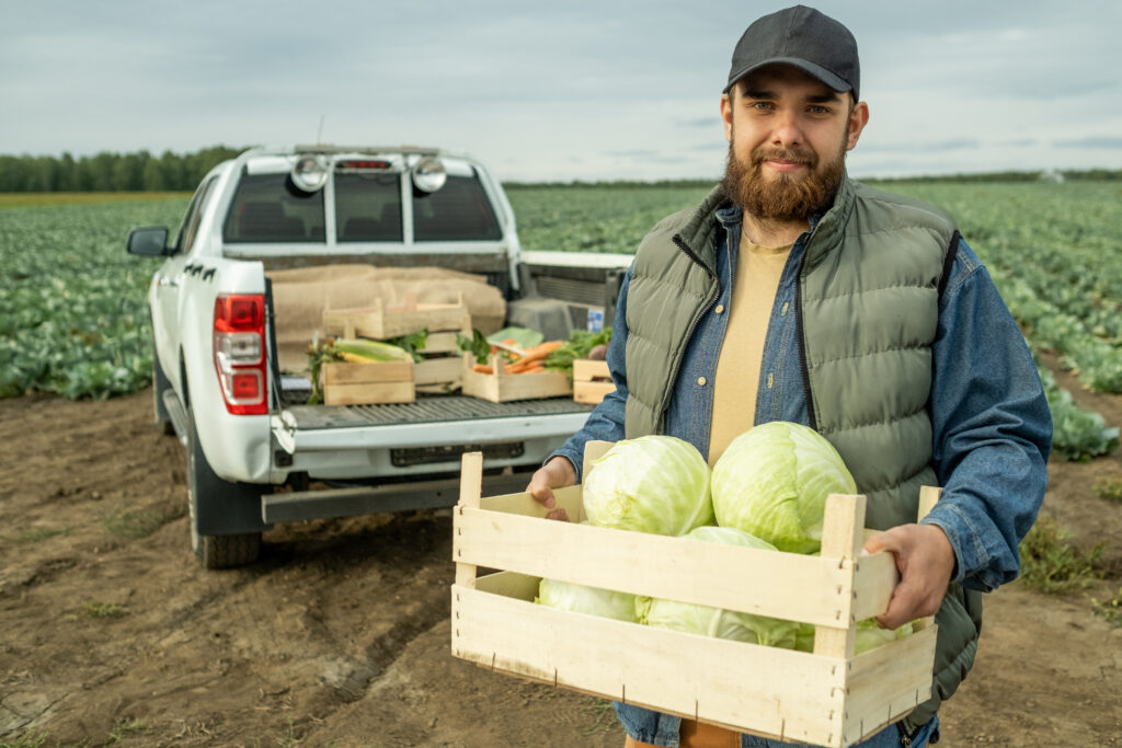 Agriculteur jeune et souriant avec une cagette de choux et d'autres légumes