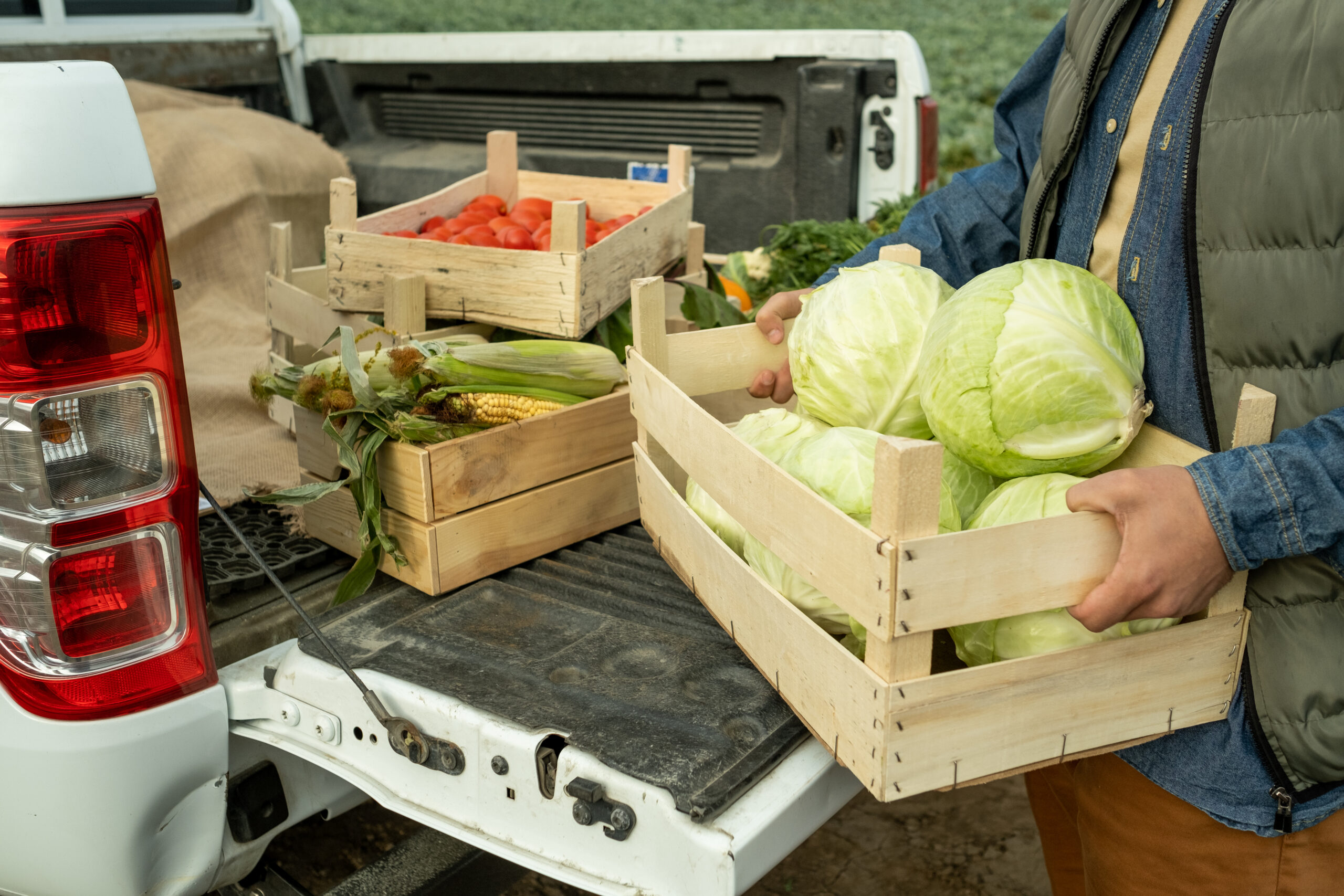 Ouvrier agricole avec une caisse de choux